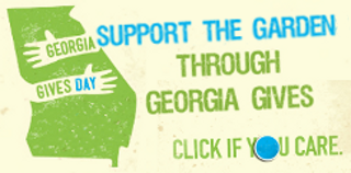 Georgia Gives Day Graphic Give